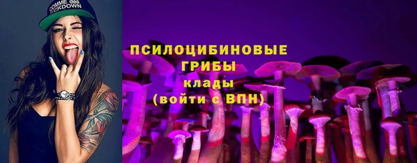 ГАЛЛЮЦИНОГЕННЫЕ ГРИБЫ Арсеньев