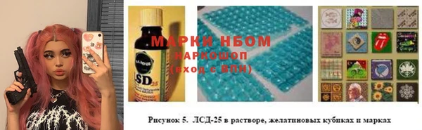 шишки Баксан