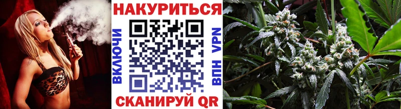 Бошки Шишки план  Вельск 